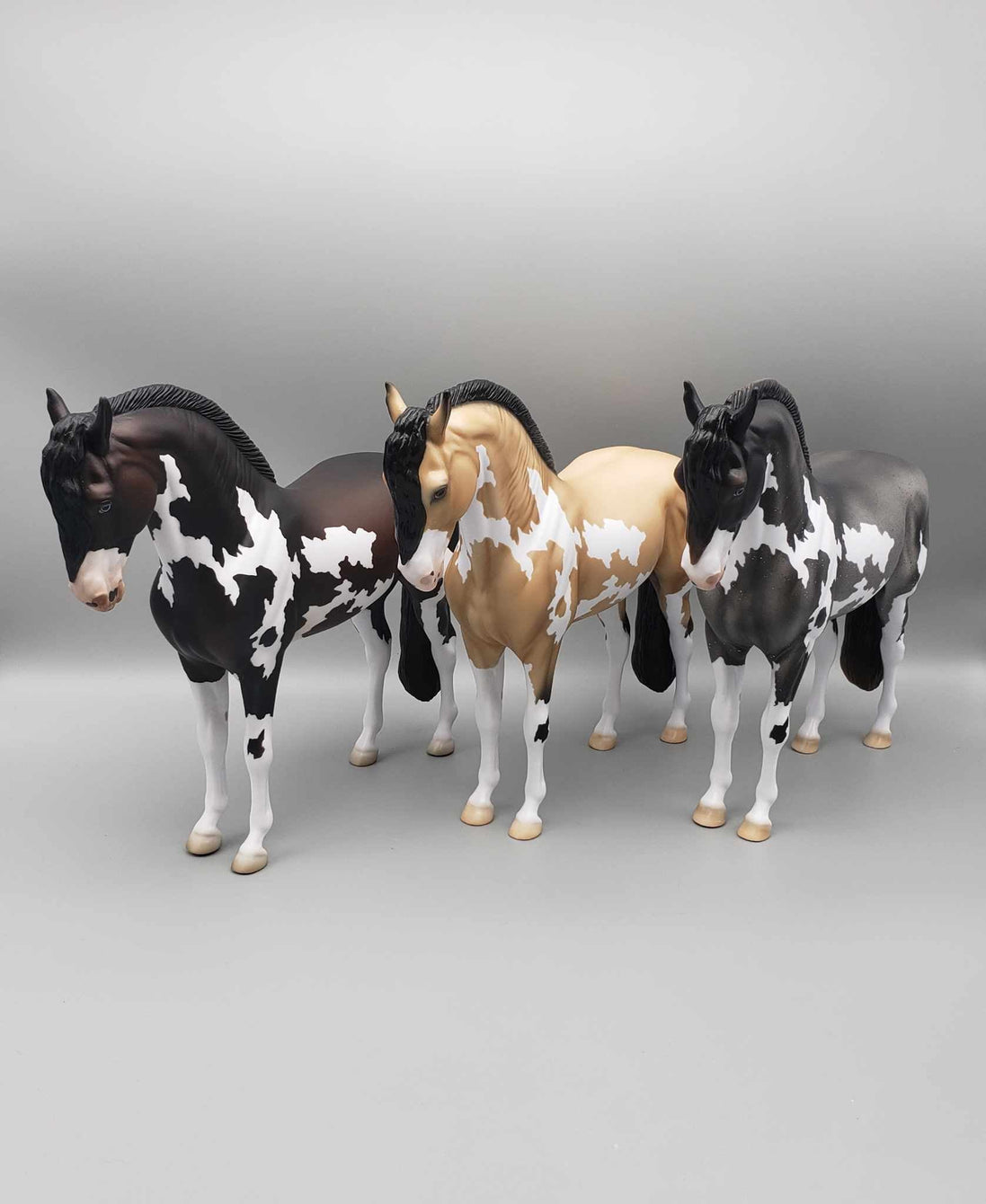 Andalusian Loyalty Release - Bay Andalusian DEU24