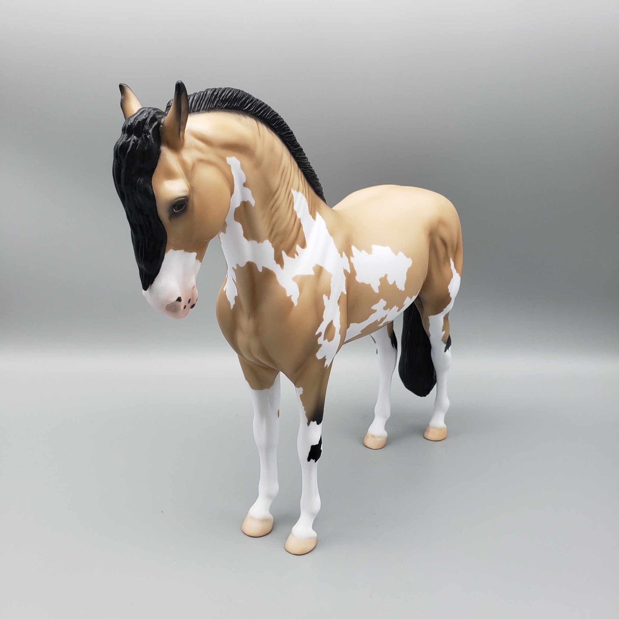 Andalusian Loyalty Release - Bay Andalusian DEU24