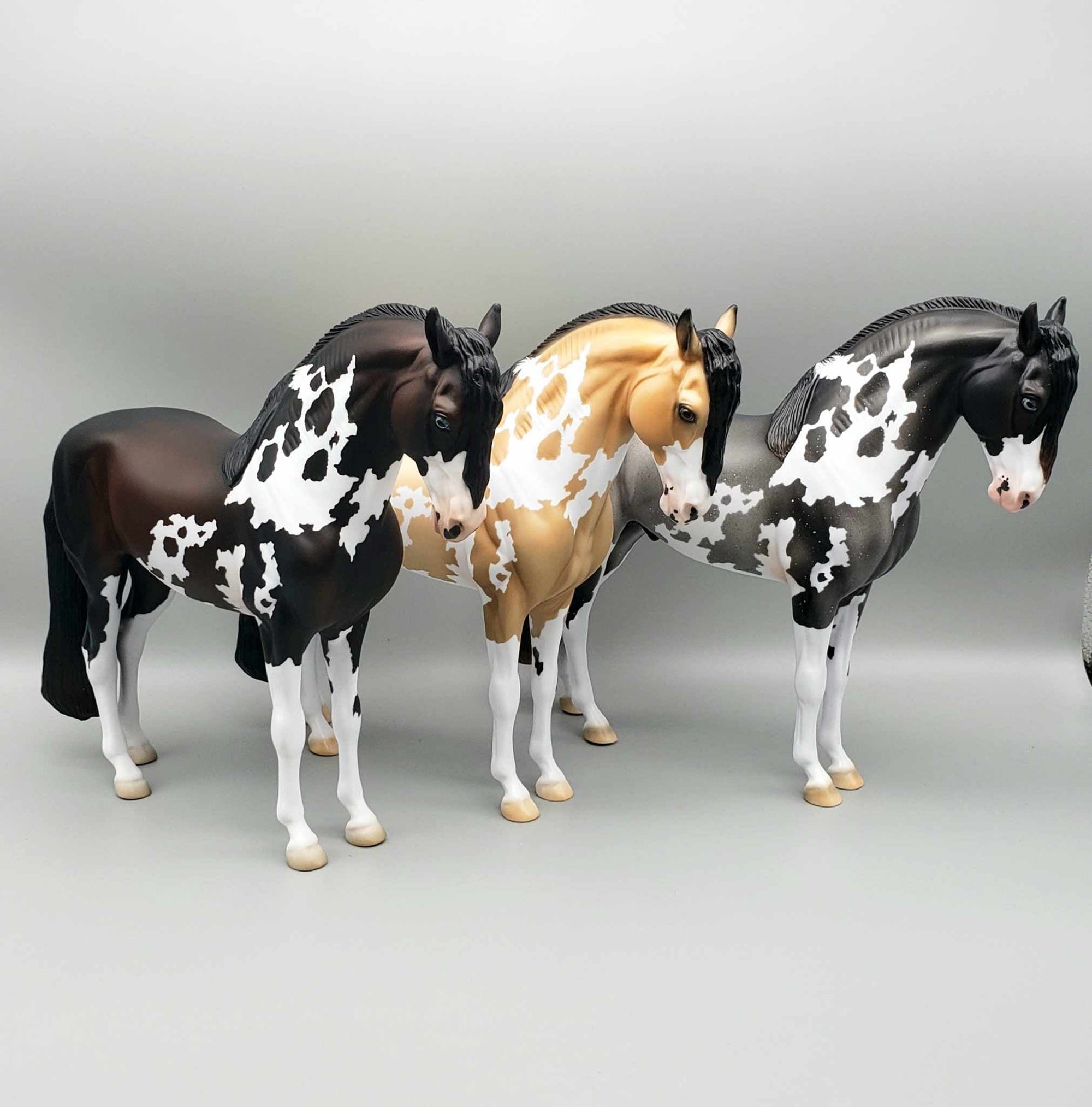 Andalusian Loyalty Release - Bay Andalusian DEU24