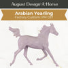 Design-A-Horse Arabian Yearling August Release DAH25 PM019