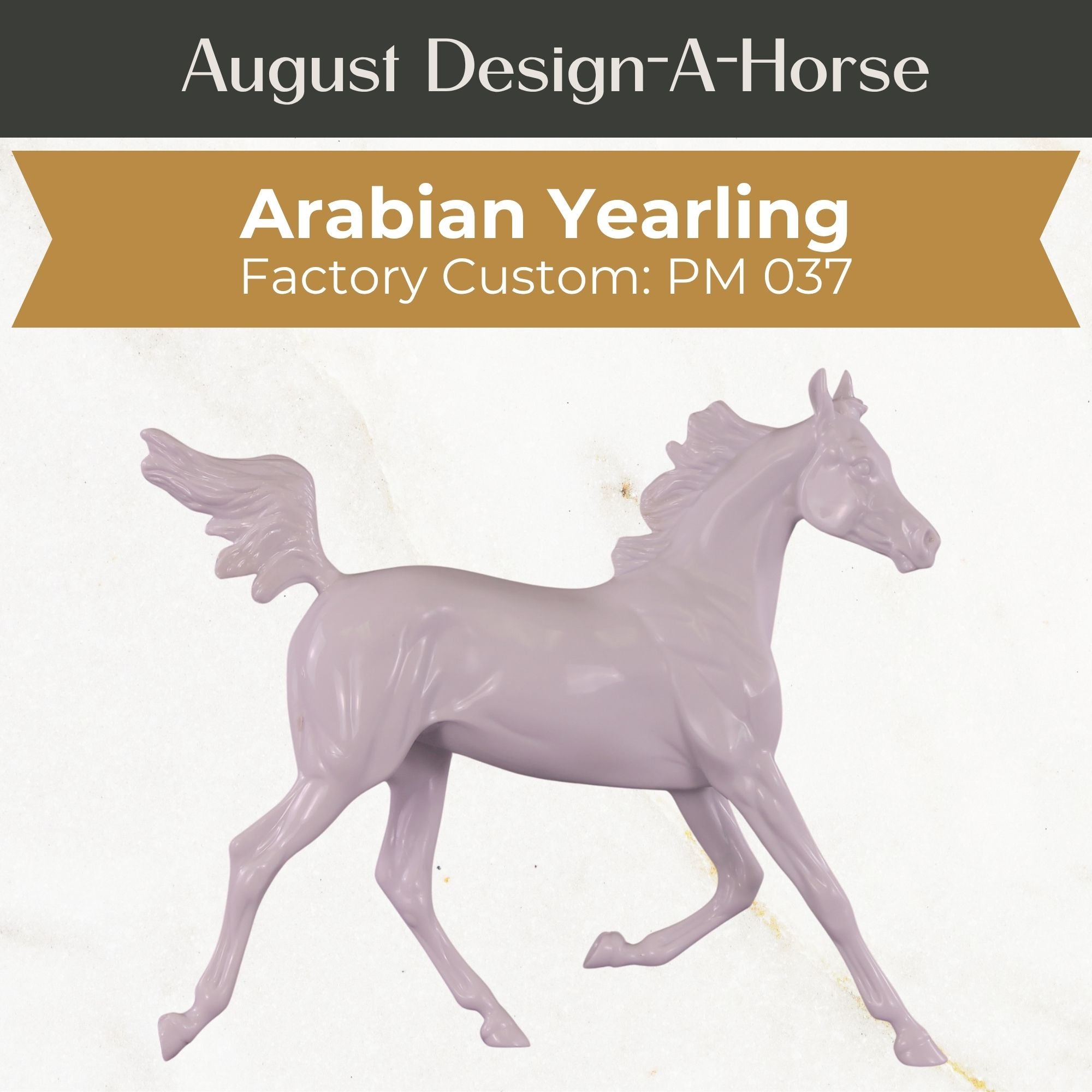 Design-A-Horse Arabian Yearling August Release DAH25 PM019