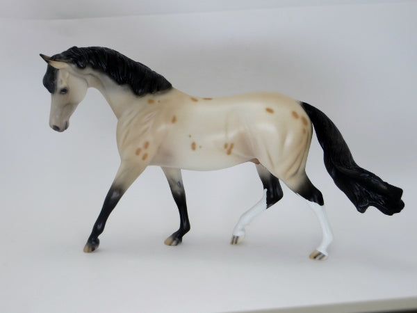 CARTER - Buckskin Appaloosa Pony LE2 2/15