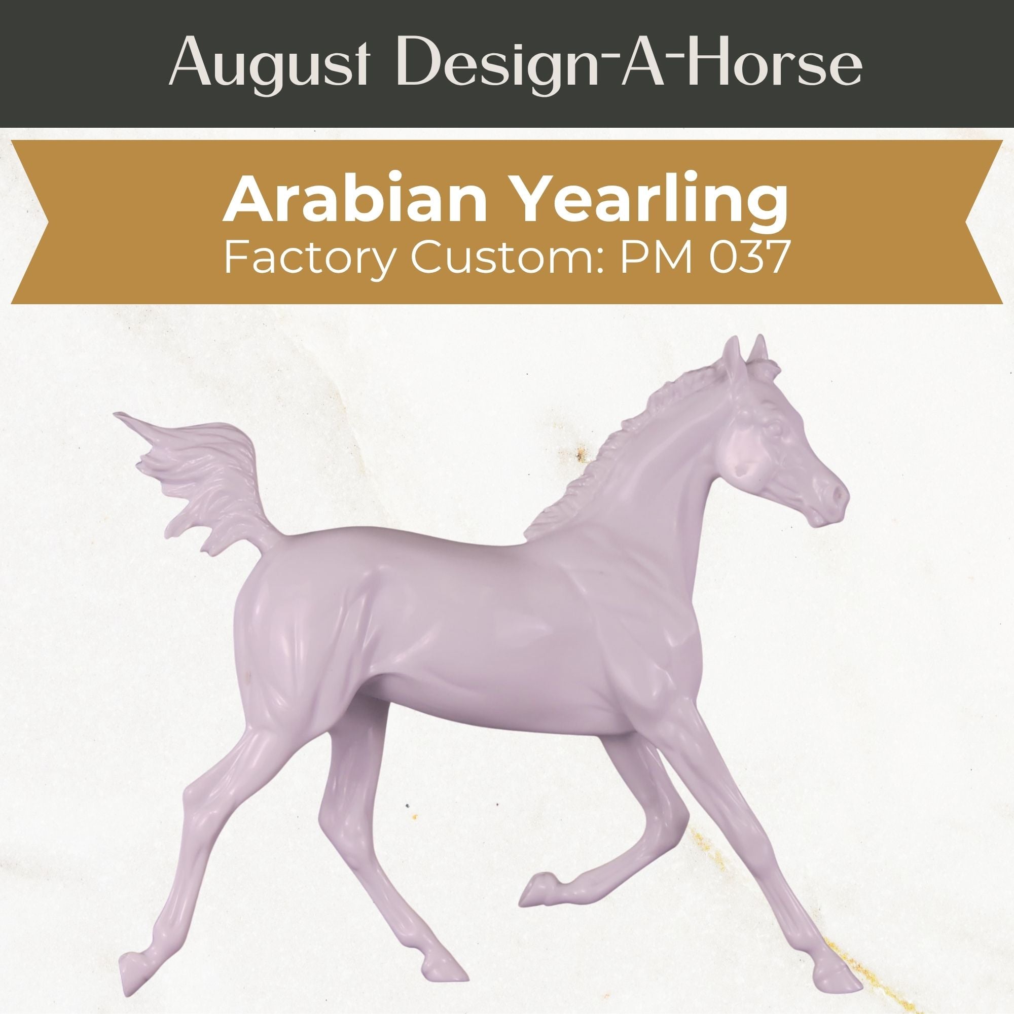 Design-A-Horse FCM Arabian Yearling August Release DAH25 PM037