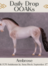 Ambrose OOAK FCM Andalusian by Anna Rieck DDOOAKs25