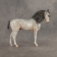Ghosted OOAK FCM Andalusian by Jess Hamill DDOOAKs26