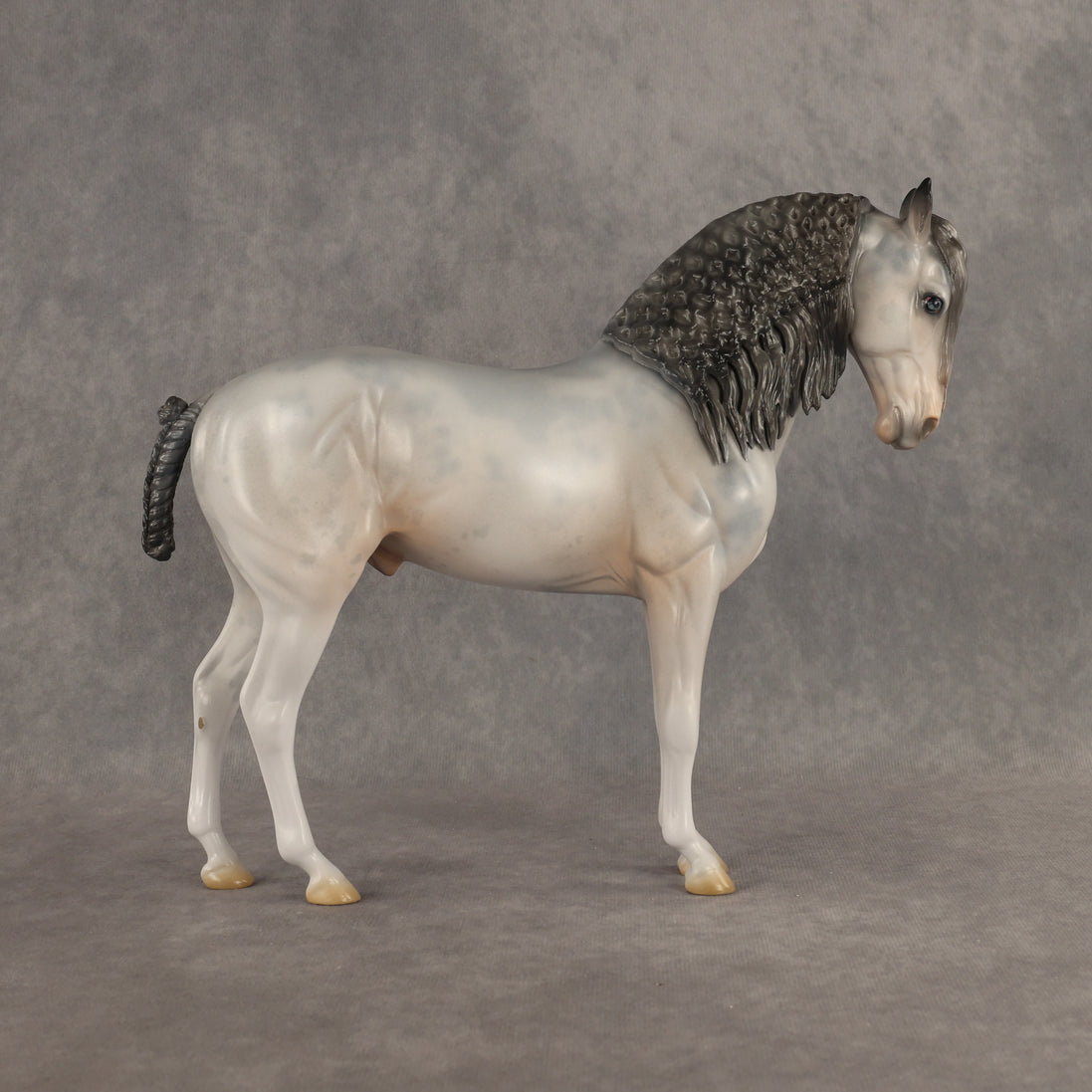 Ghosted OOAK FCM Andalusian by Jess Hamill DDOOAKs26