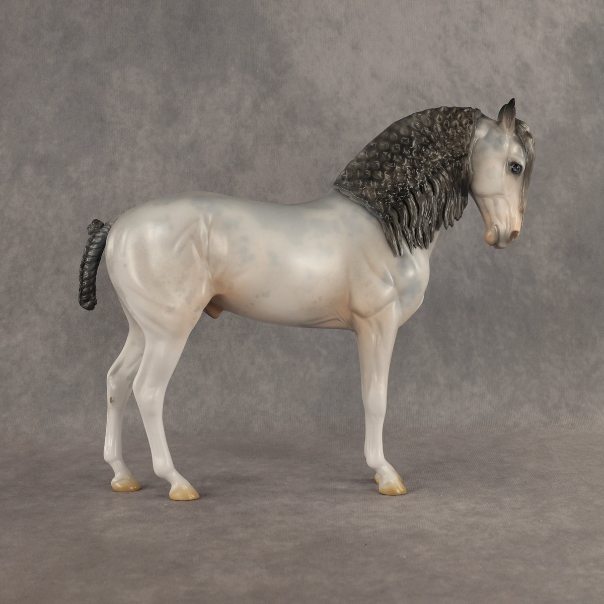 Ghosted OOAK FCM Andalusian by Jess Hamill DDOOAKs26