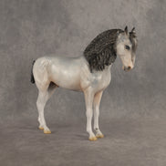 Ghosted OOAK FCM Andalusian by Jess Hamill DDOOAKs26