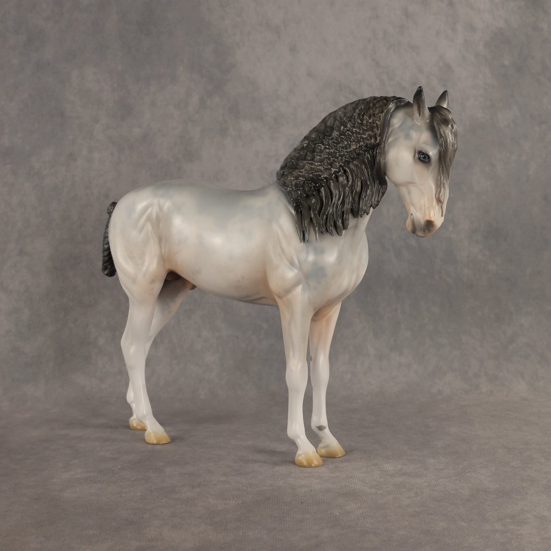 Ghosted OOAK FCM Andalusian by Jess Hamill DDOOAKs26