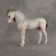 Ghosted OOAK FCM Andalusian by Jess Hamill DDOOAKs26