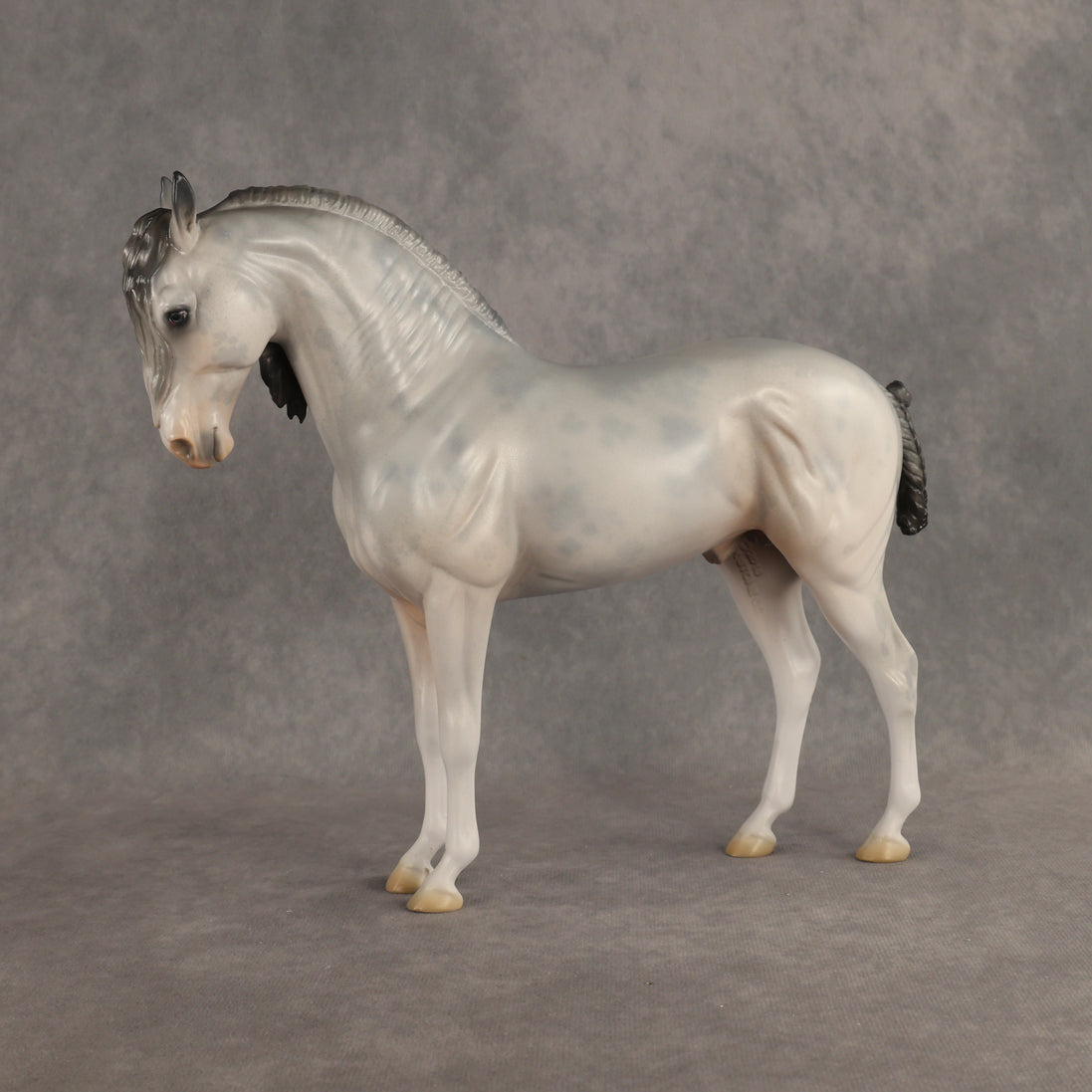 Ghosted OOAK FCM Andalusian by Jess Hamill DDOOAKs26