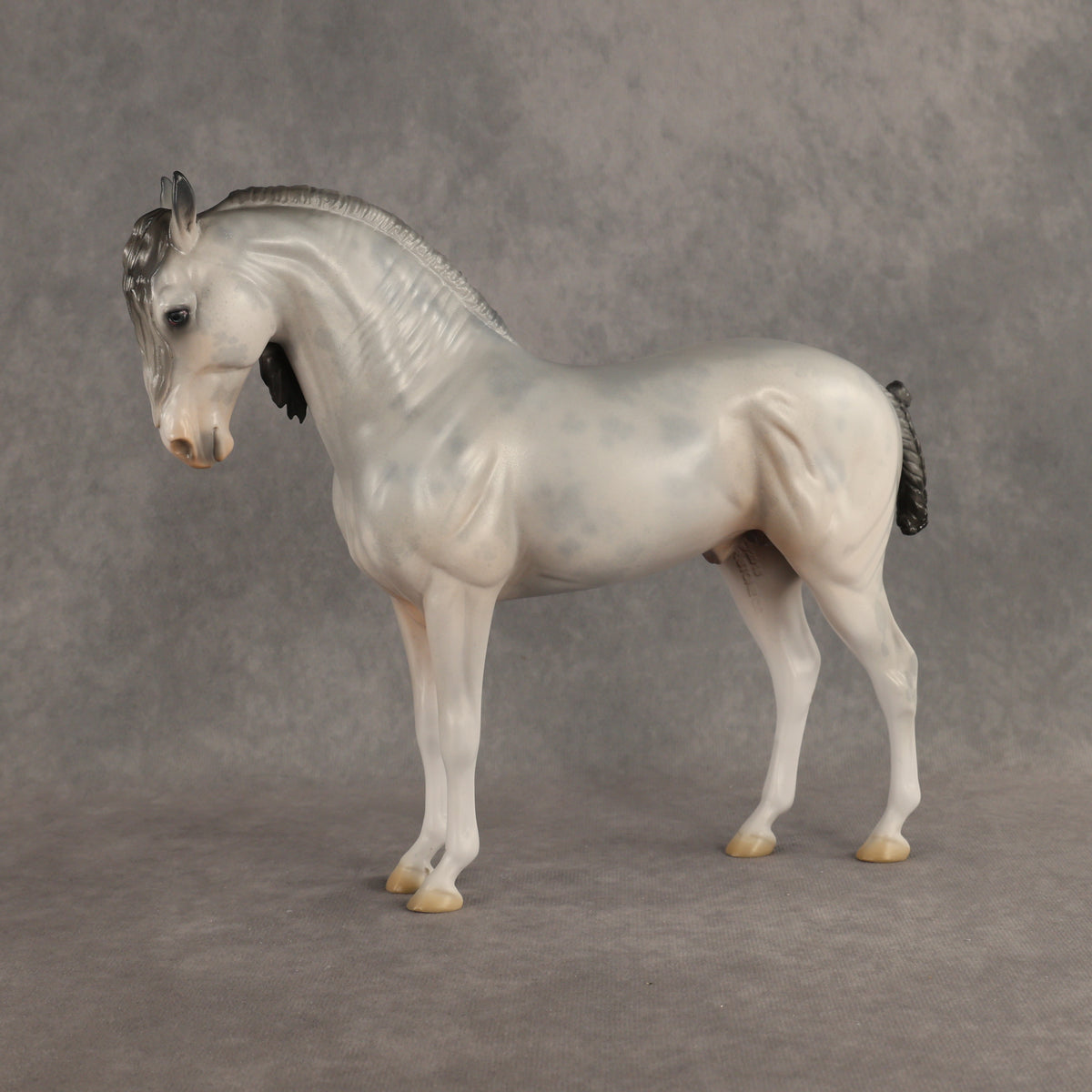 Ghosted OOAK FCM Andalusian by Jess Hamill DDOOAKs26