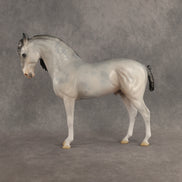 Ghosted OOAK FCM Andalusian by Jess Hamill DDOOAKs26