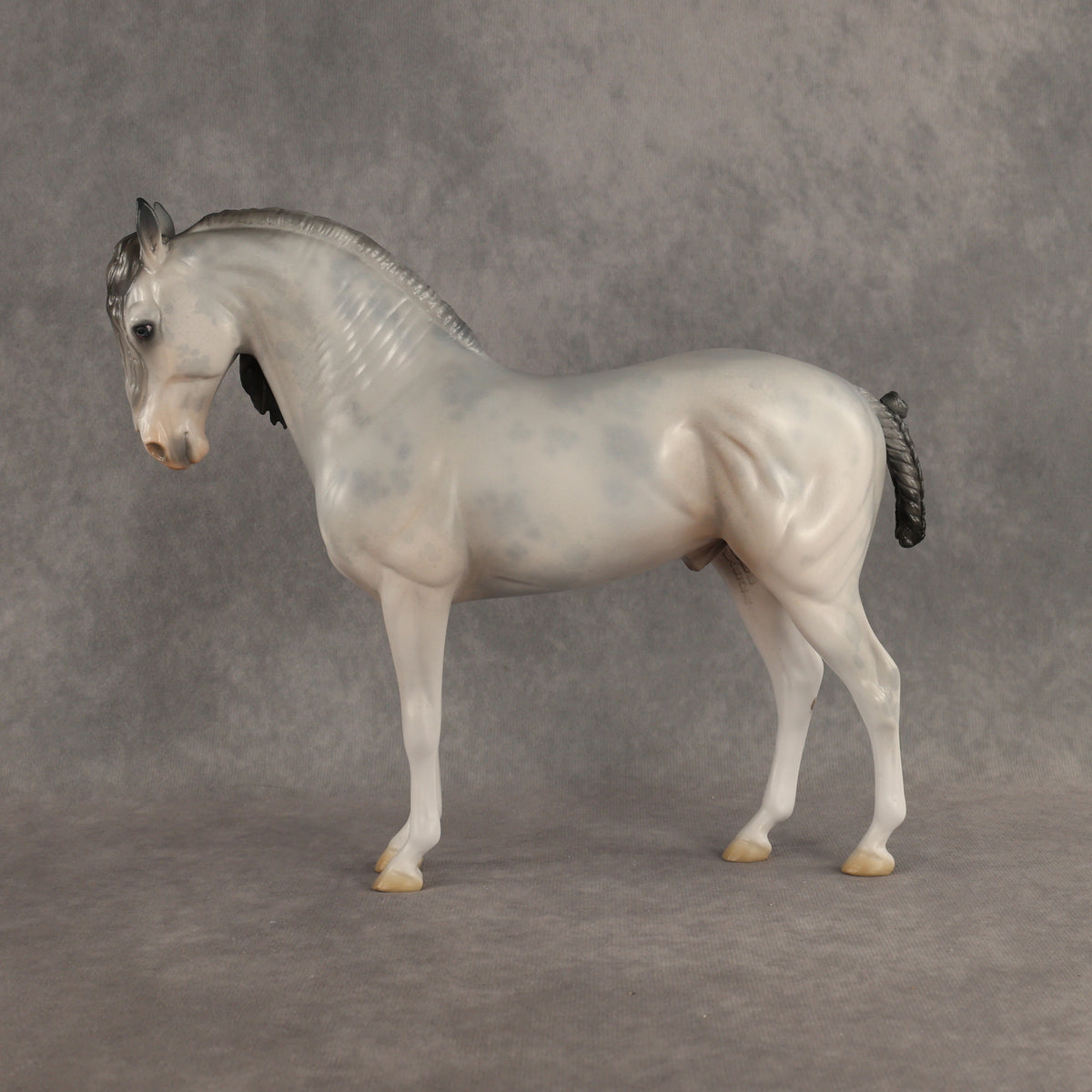 Ghosted OOAK FCM Andalusian by Jess Hamill DDOOAKs26