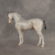 Ghosted OOAK FCM Andalusian by Jess Hamill DDOOAKs26