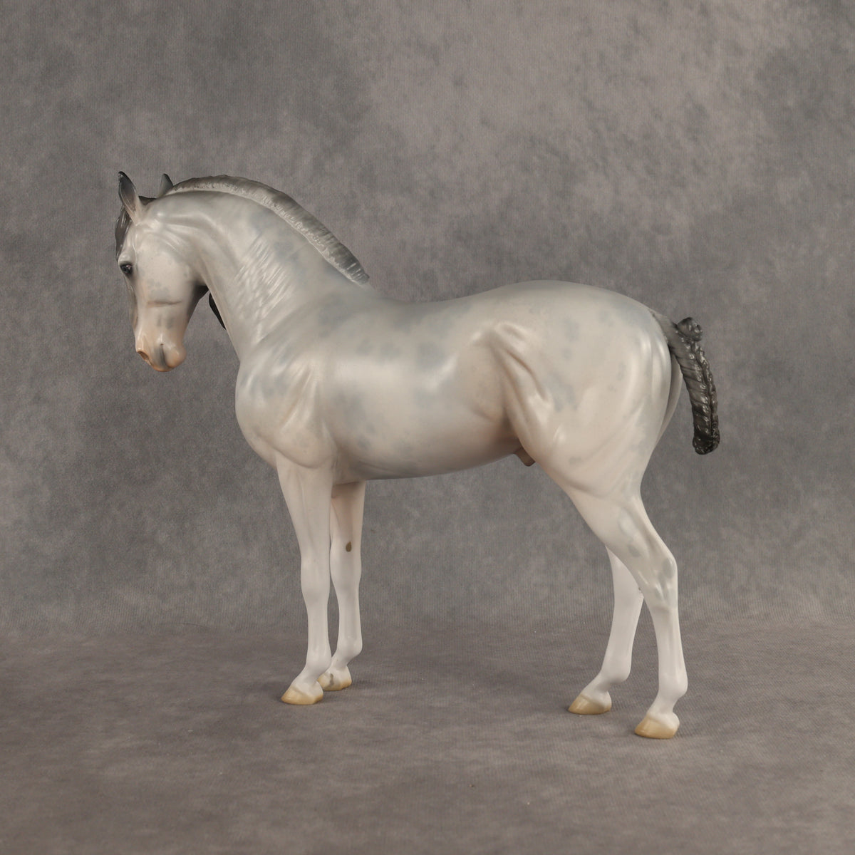 Ghosted OOAK FCM Andalusian by Jess Hamill DDOOAKs26