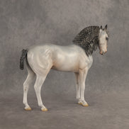 Ghosted OOAK FCM Andalusian by Jess Hamill DDOOAKs26
