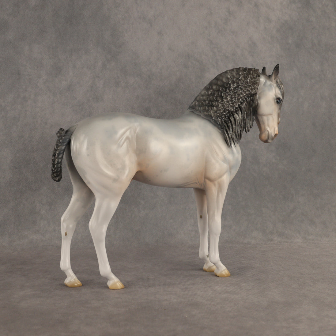 Ghosted OOAK FCM Andalusian by Jess Hamill DDOOAKs26