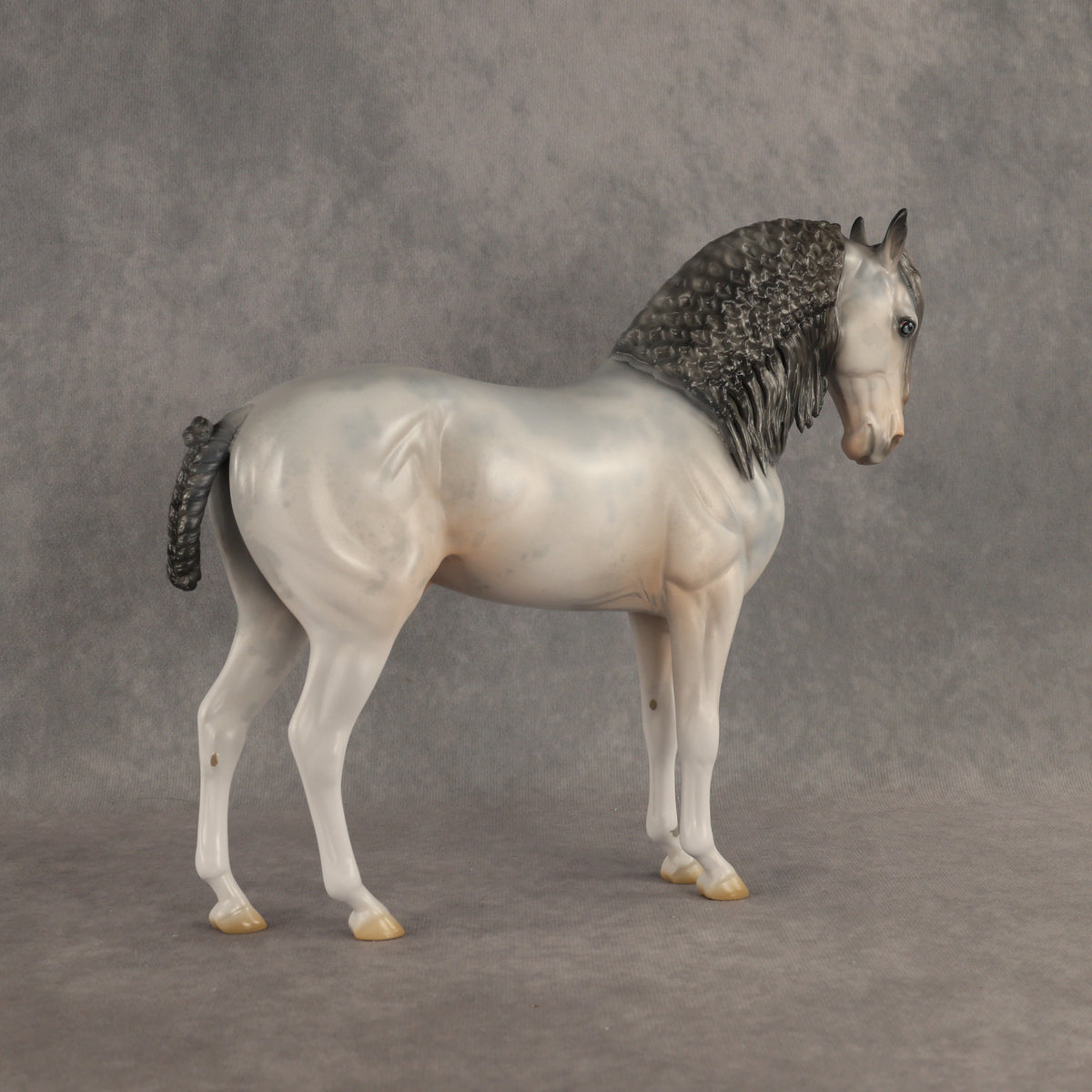 Ghosted OOAK FCM Andalusian by Jess Hamill DDOOAKs26