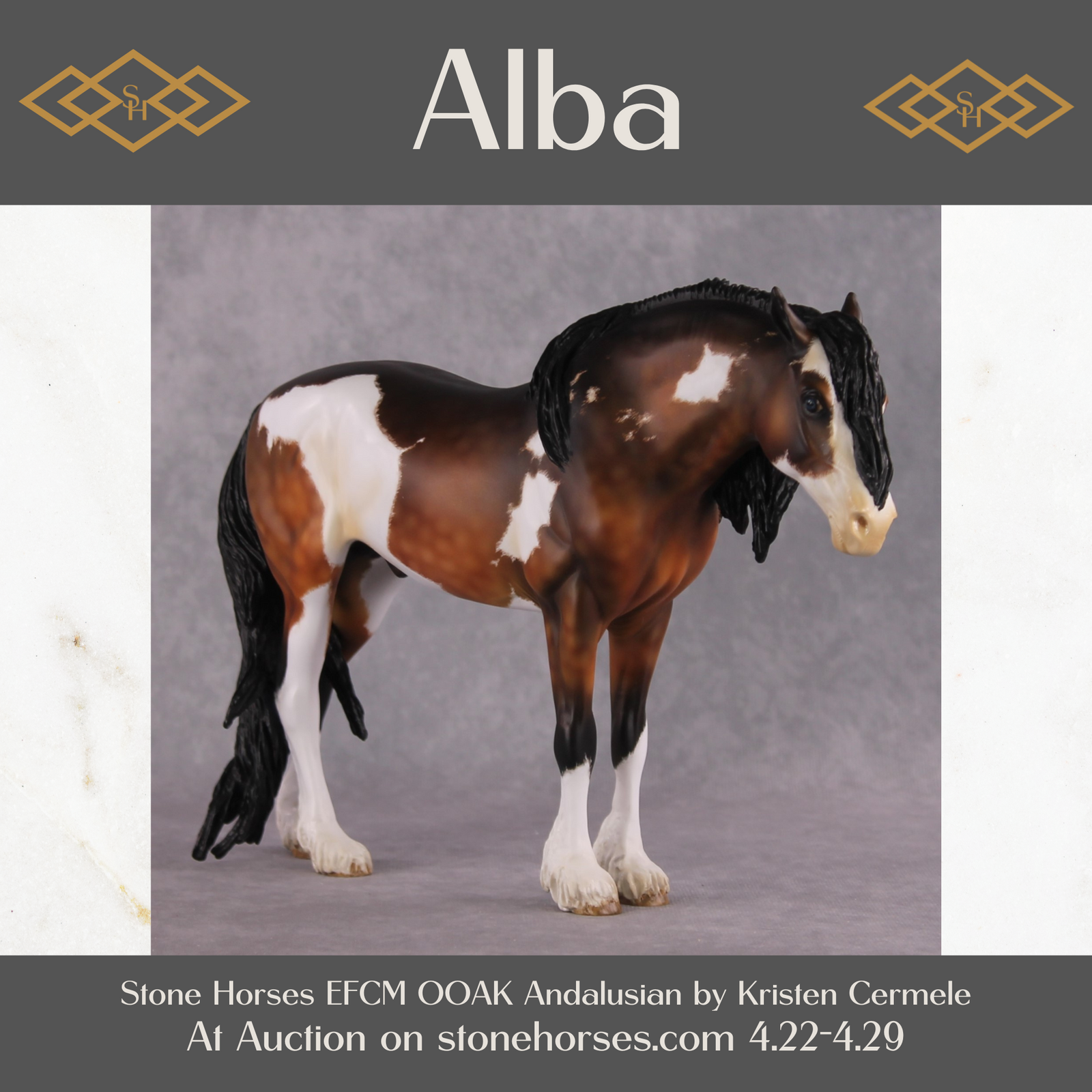 "Alba" EFCM Andalusian By Kristen Cermele