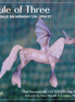 Mini Stormworthy EFCM LE-5 Ice Dragon by Jess Hamill and Carissa Matthews Ro326