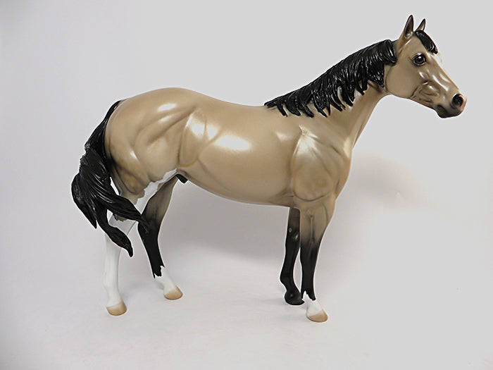 O'CONNOR-OOAK BUCKSKIN PAINT ISH MODEL HORSE 08/03/16