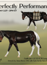 Gallivant LE-15 FCM Large Mule by Anna Rieck and Carissa Mathews PFP26