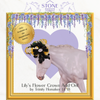 Dappledown Soirée Lady L&#39;Ongears GLOSSY LE-30 Large Mule by Jess Hamill EQ25