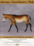"Private Purdy" OOAK Custom Bay Military Mule By Tiffany Purdy - GemStone Series