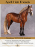 "Bartolomeo" OOAK EFCM Andalusian By Kristen Cermele - April GemStones Series