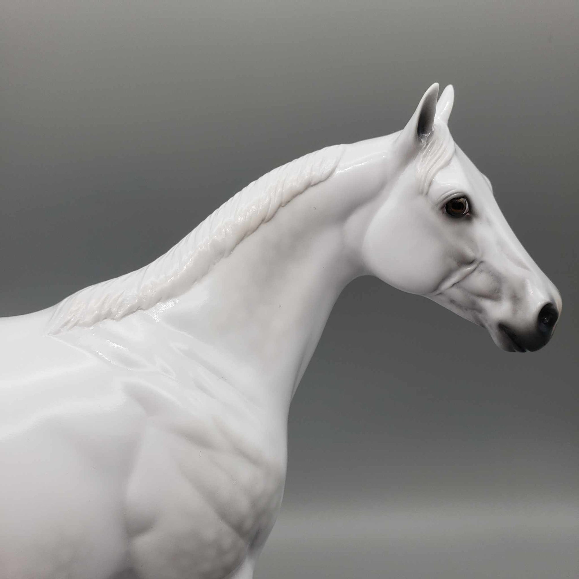 Stone Eras Blind Bag Commemorative Edition - 2024