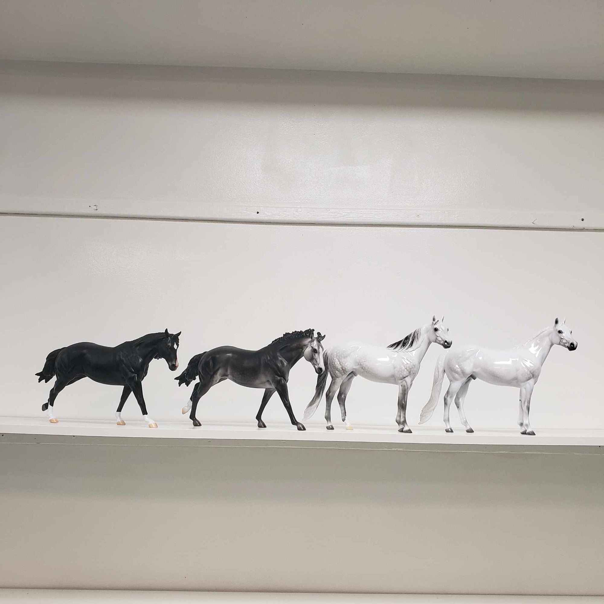 Stone Eras Blind Bag Commemorative Edition - 2024