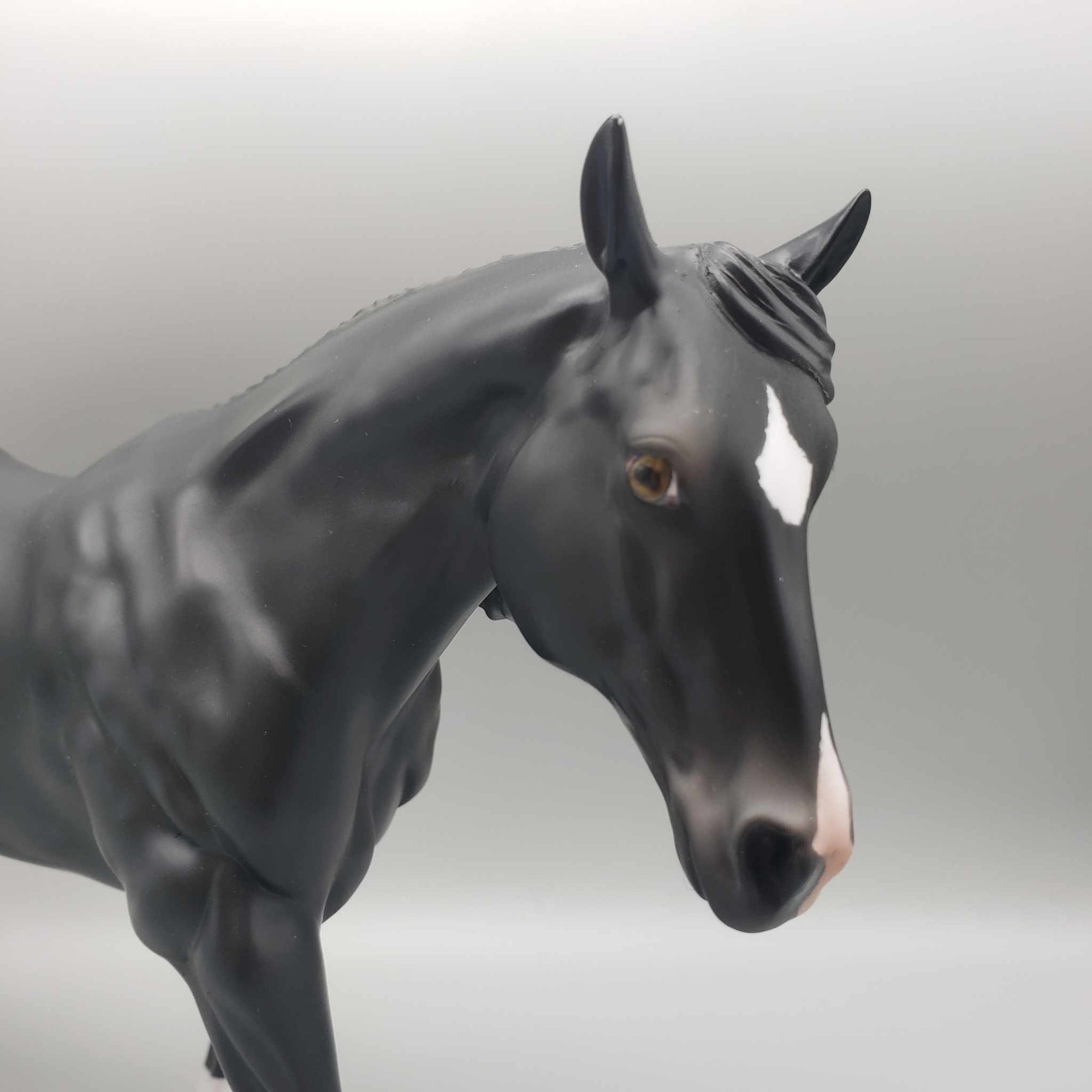 Stone Eras Blind Bag Commemorative Edition - 2024