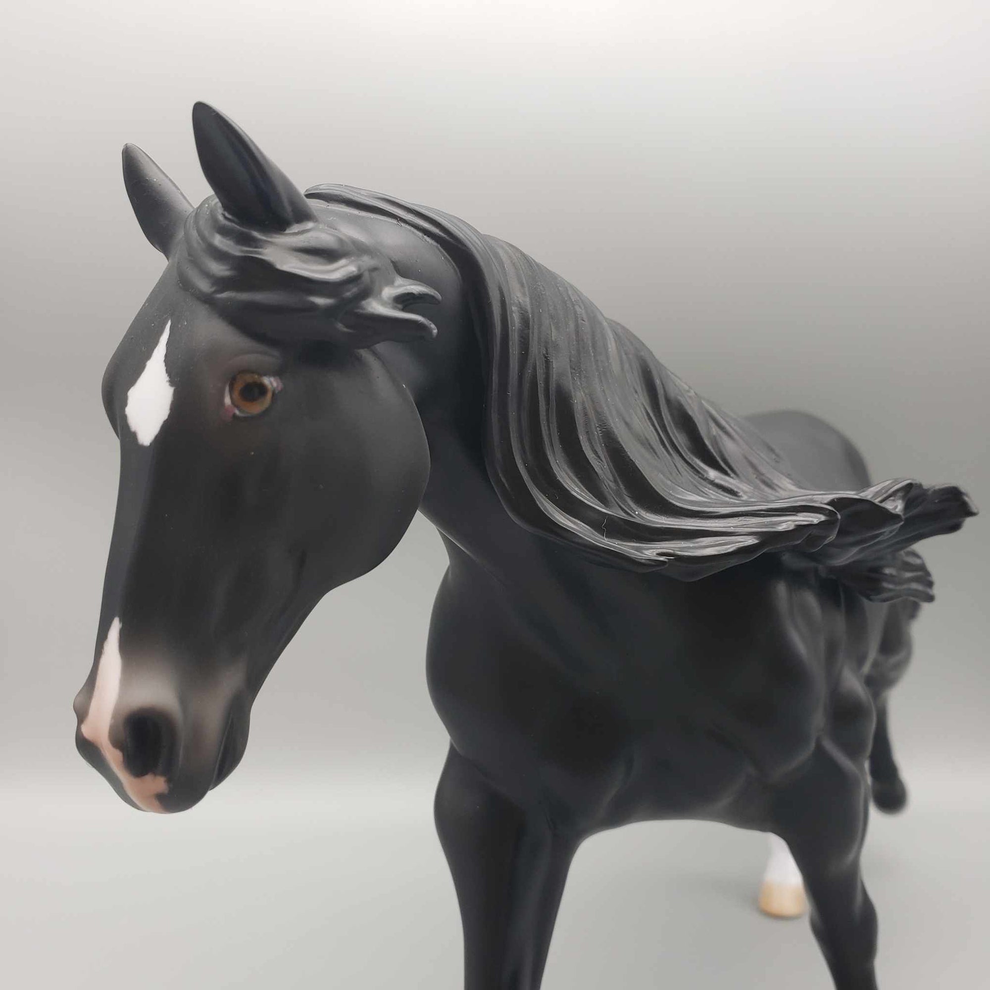 Stone Eras Blind Bag Commemorative Edition - 2024