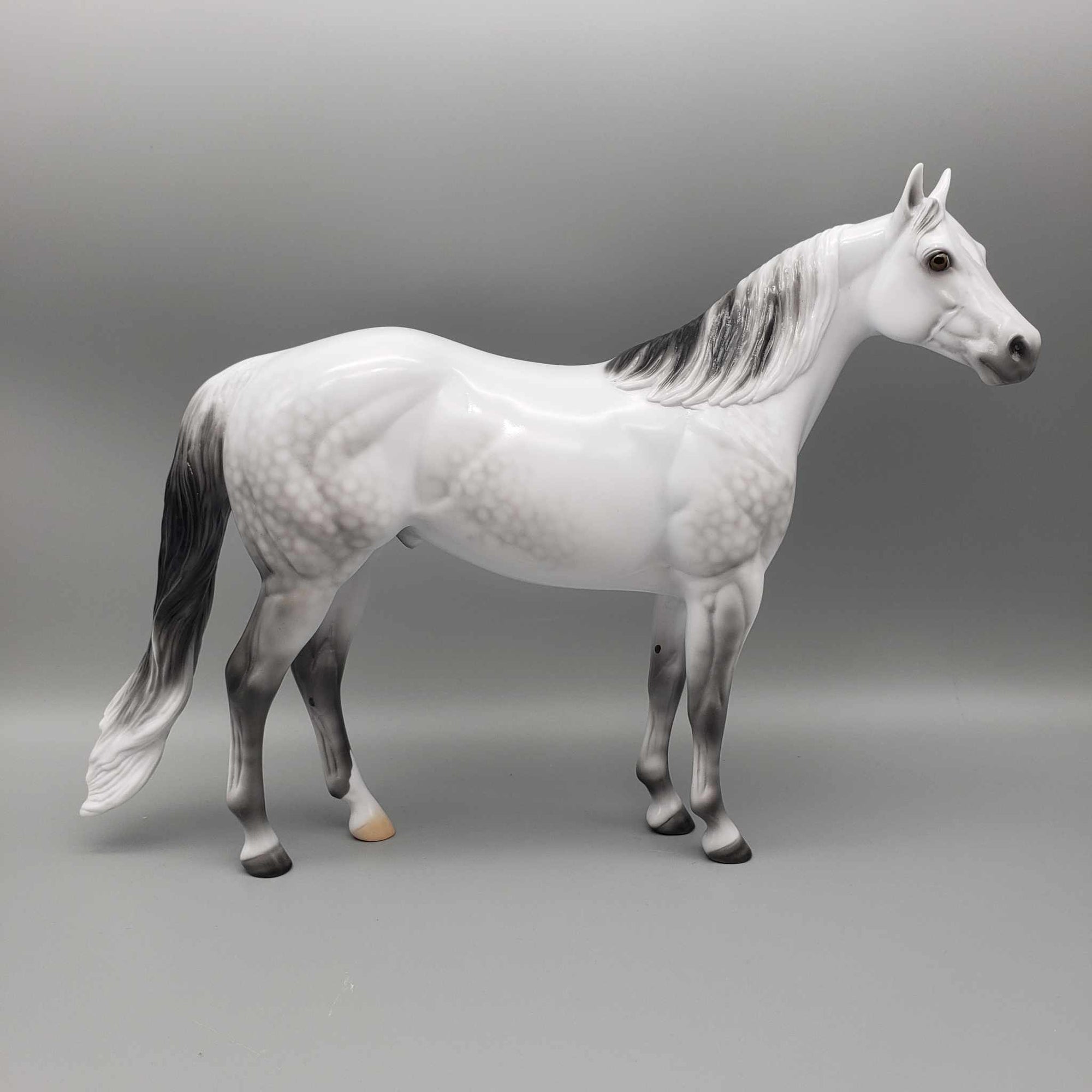 Stone Eras Blind Bag Commemorative Edition - 2024