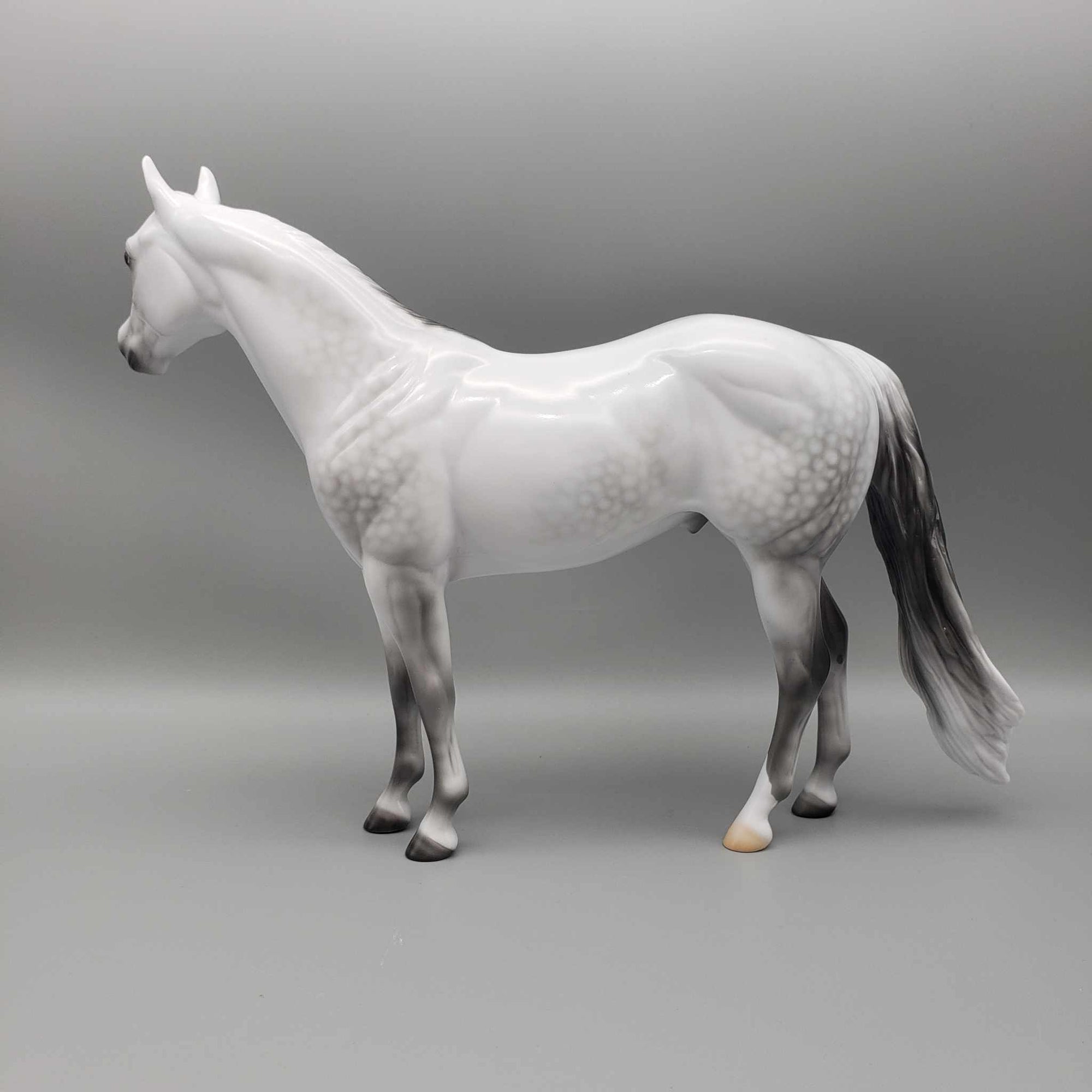 Stone Eras Blind Bag Commemorative Edition - 2024