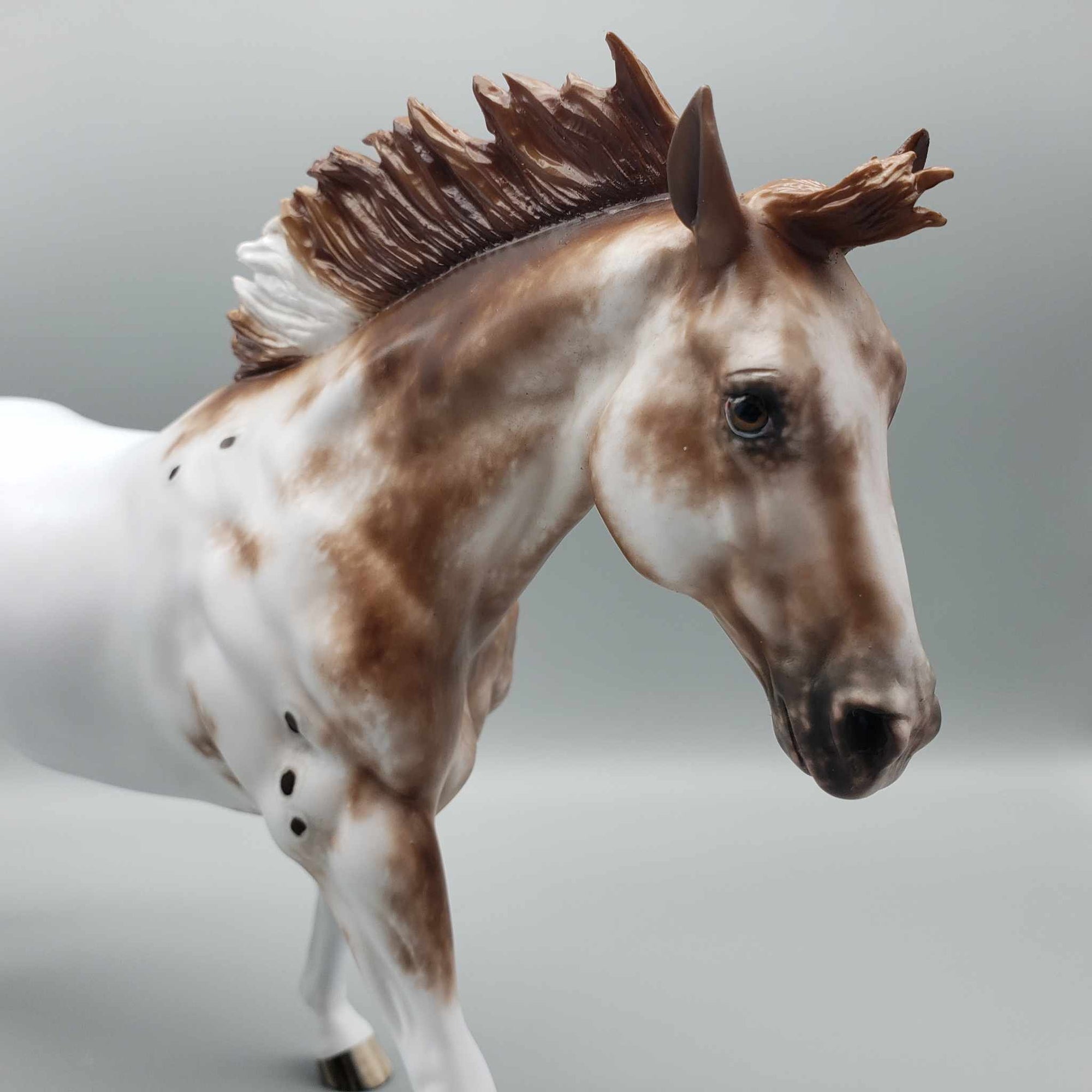 Sockdolager OOAK - Chestnut Appaloosa Running Stock Horse by Sheryl Leisure - Best Offers 1/15/24