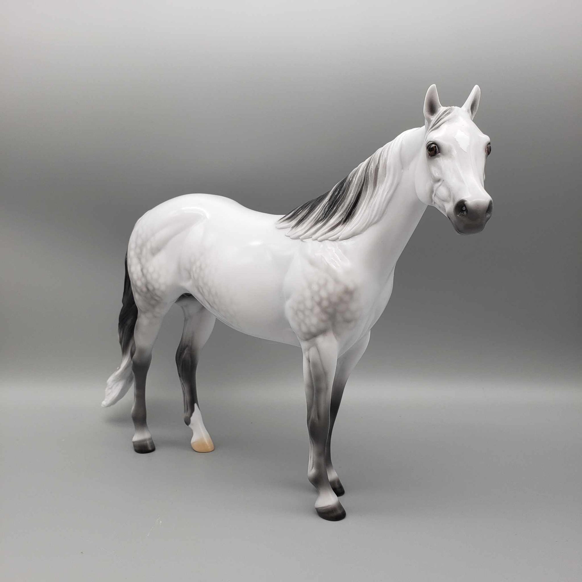 Stone Eras Blind Bag Commemorative Edition - 2024