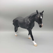 Stone Eras Blind Bag Commemorative Edition - 2024