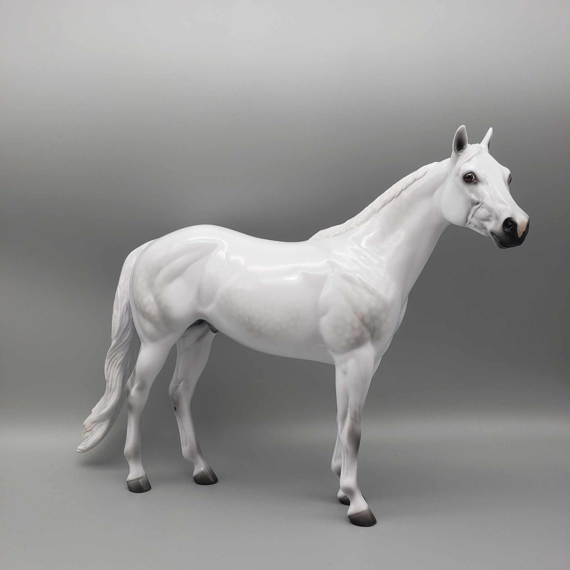 Stone Eras Blind Bag Commemorative Edition - 2024