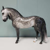 Vertex OOAK Dappled Grey Custom Andalusian By Sheryl Leisure Best Offer 3/5/24