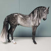 Vertex OOAK Dappled Grey Custom Andalusian By Sheryl Leisure Best Offer 3/5/24