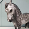 Vertex OOAK Dappled Grey Custom Andalusian By Sheryl Leisure Best Offer 3/5/24