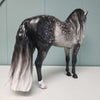 Vertex OOAK Dappled Grey Custom Andalusian By Sheryl Leisure Best Offer 3/5/24