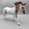 Sockdolager OOAK - Chestnut Appaloosa Running Stock Horse by Sheryl Leisure - Best Offers 1/15/24