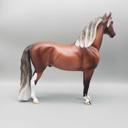 Gulliver - LE 30 Dappled Silver Bay Morgan By Ellen Robbins Classic Literature Series 2024