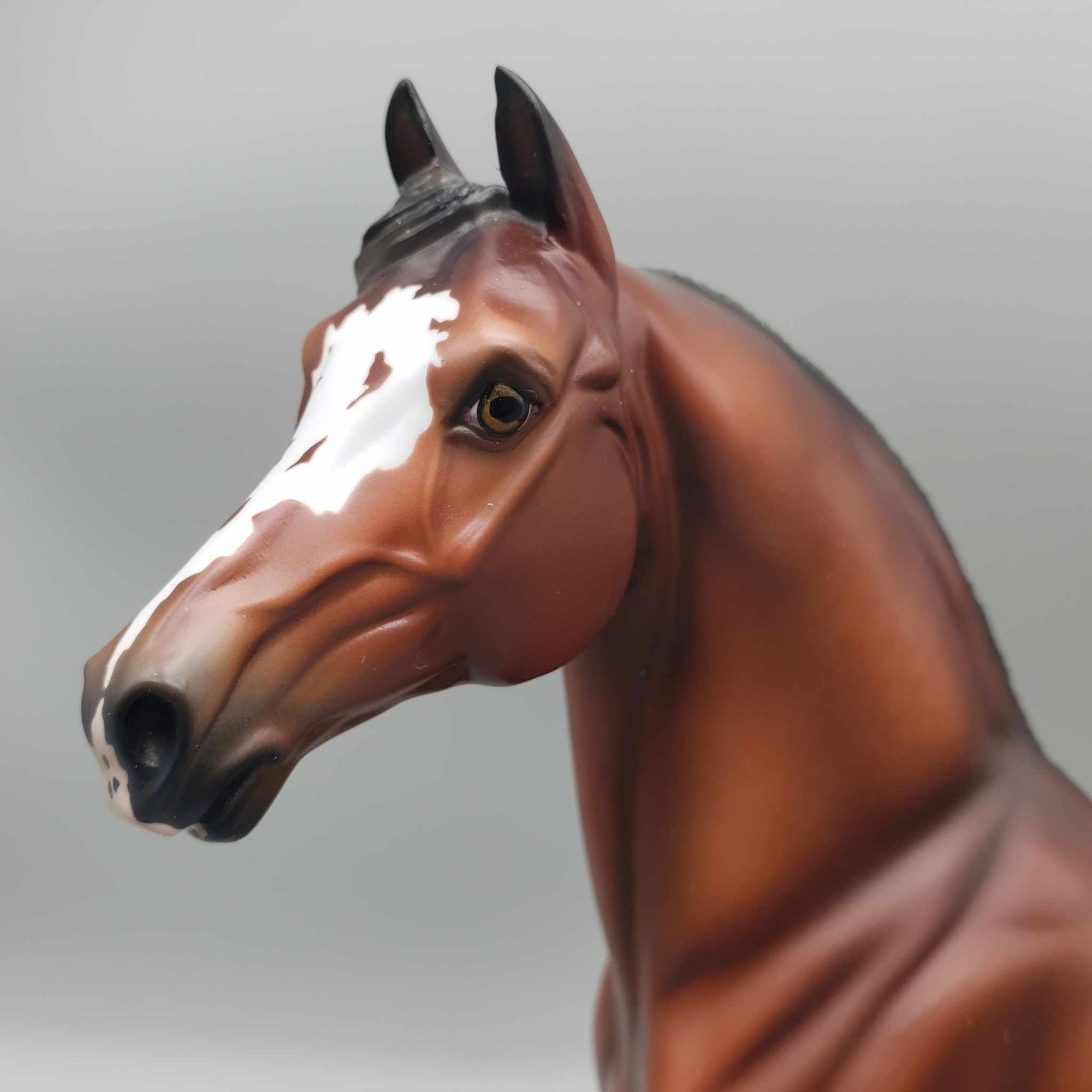 Gulliver - LE 30 Dappled Silver Bay Morgan By Ellen Robbins Classic Literature Series 2024