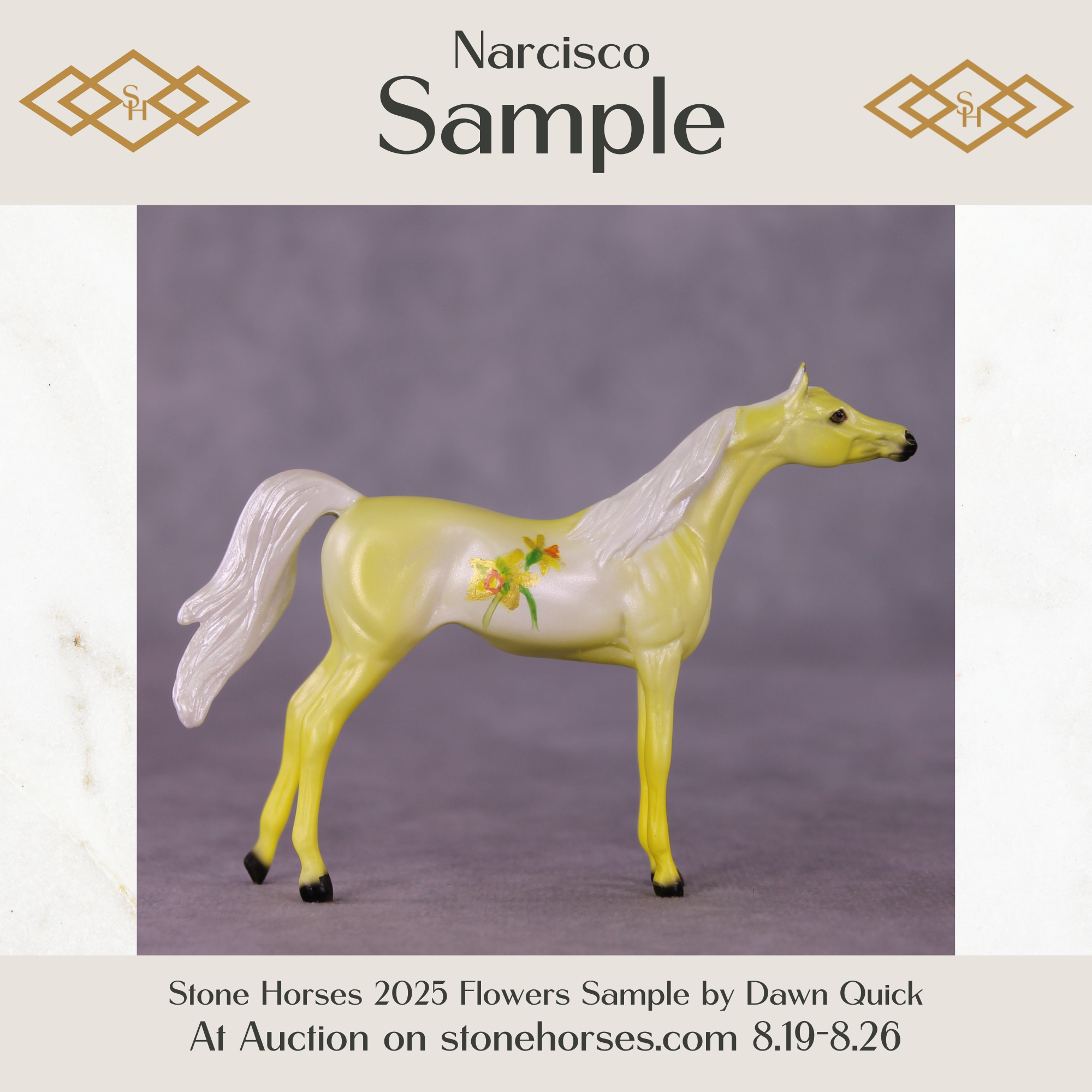 Narciso Sample Arabian Chip by Dawn Quick SS825