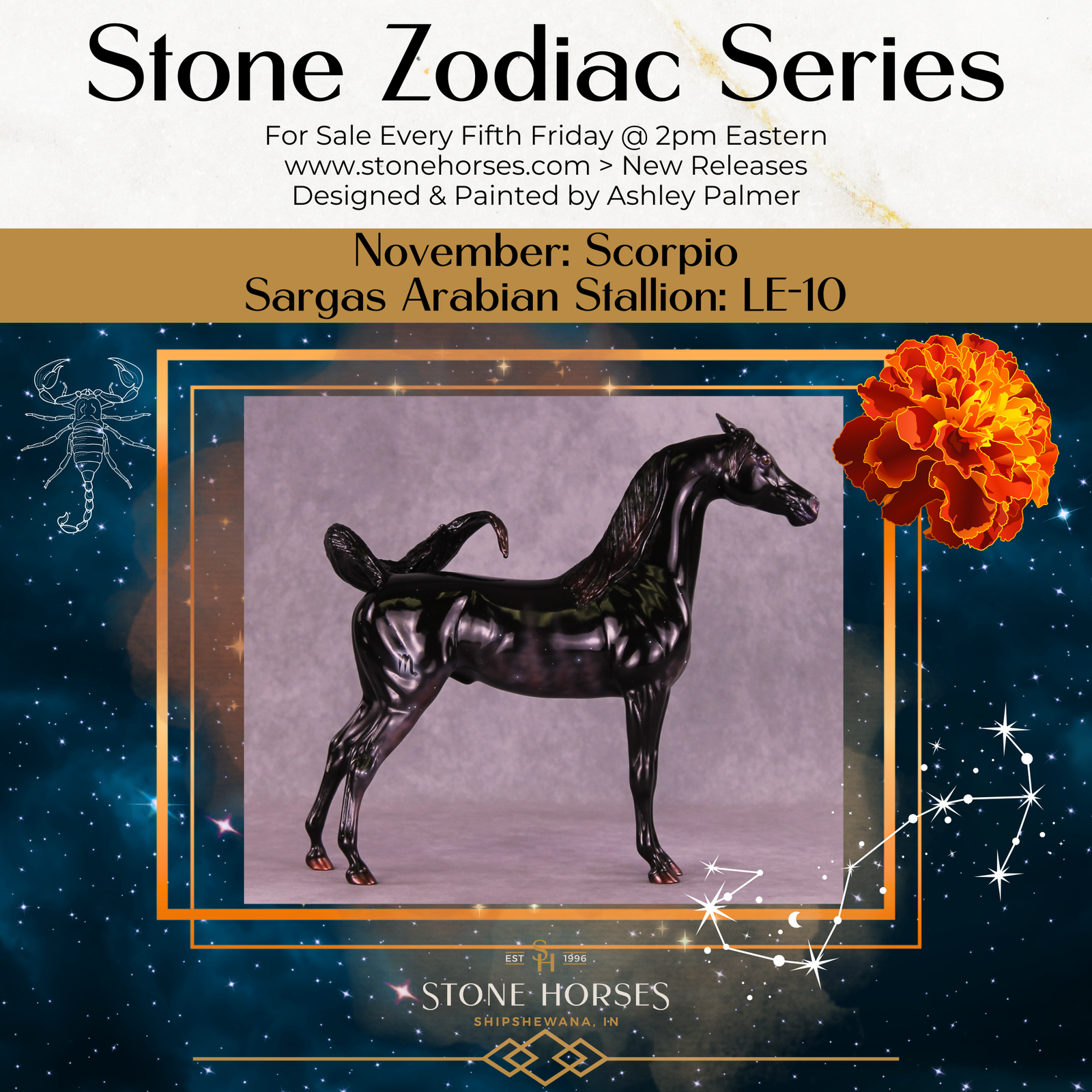 Sargas LE-10 EFCM Arabian Stallion by Ashley Palmer ZS25