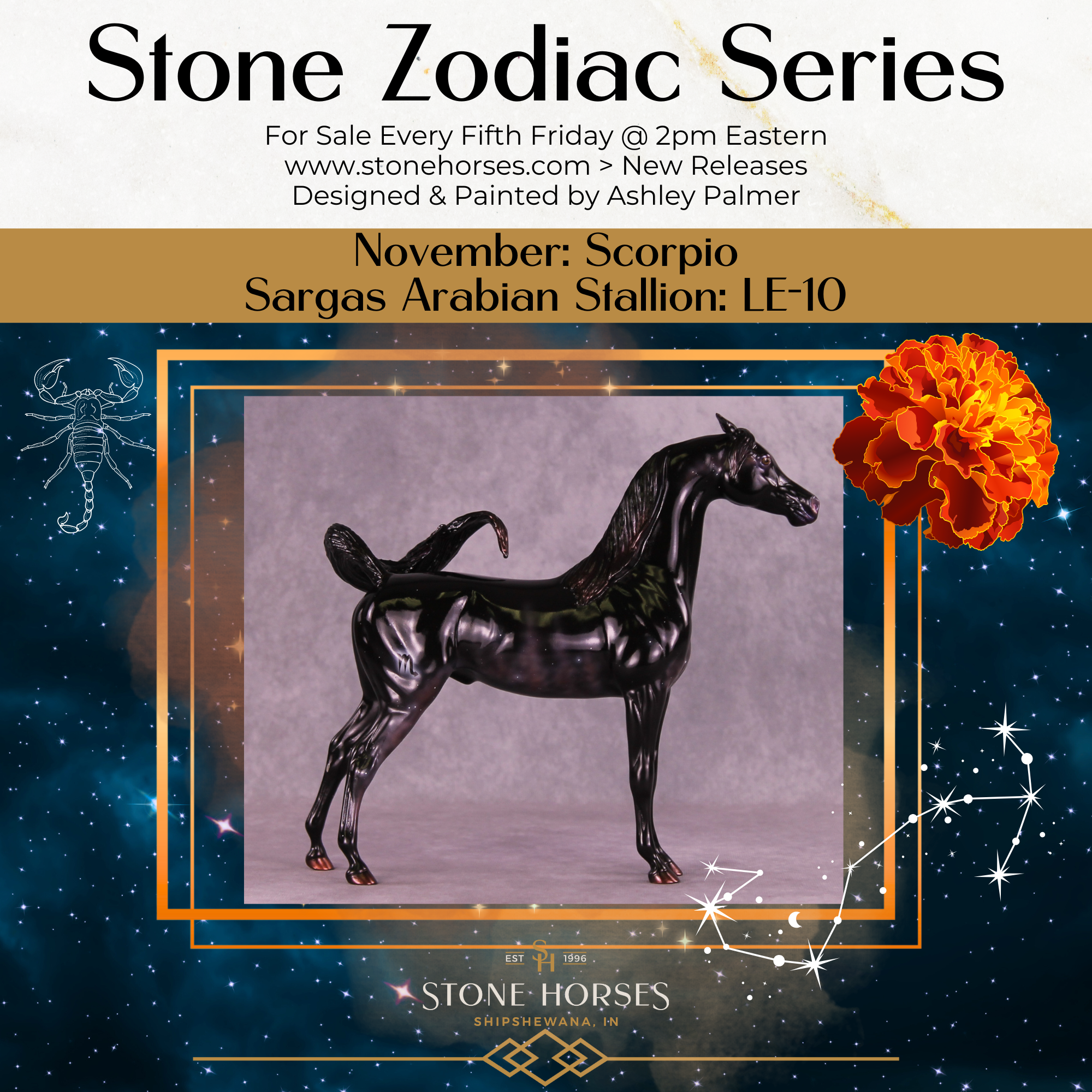 Sargas LE-10 EFCM Arabian Stallion by Ashley Palmer ZS25